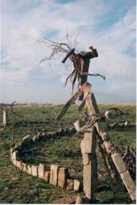 Assemblage art by Jayarava