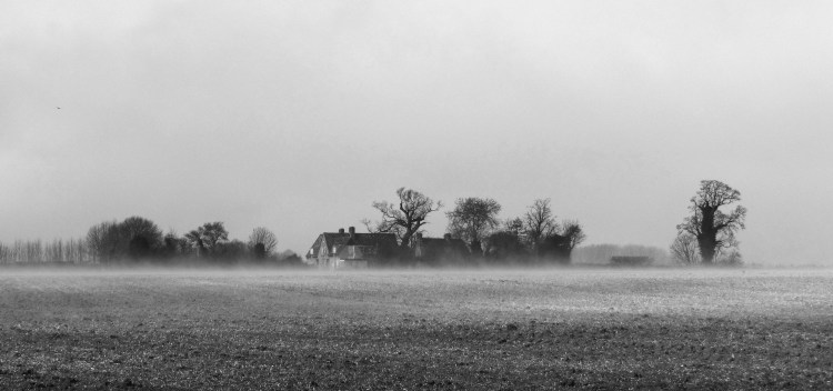 Farm mist