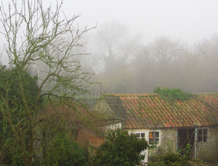 The view from my window - misty moiety