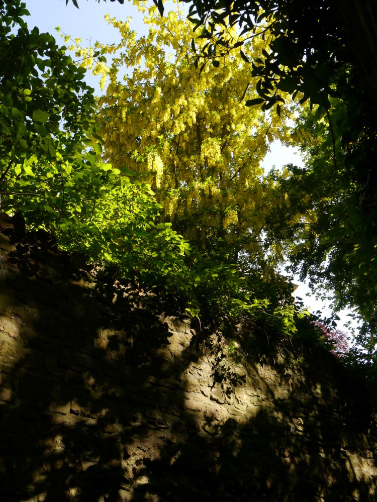 Low Res2011-03-01 09.51.47