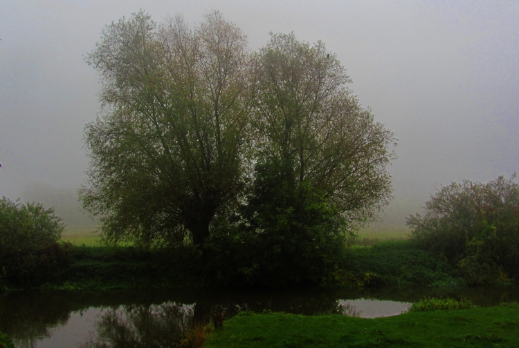Granchester Meadows - a grey and cheerless dusk which Hardy would have appreciated.