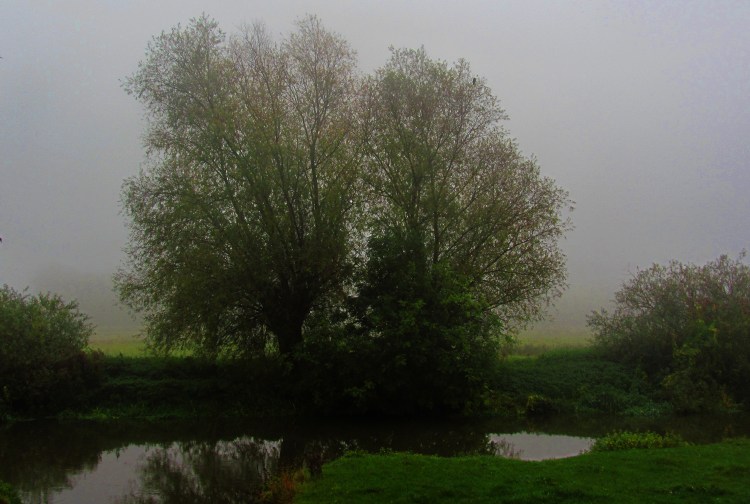 Granchester Meadows - a grey and cheerless dusk which Hardy would have appreciated.
