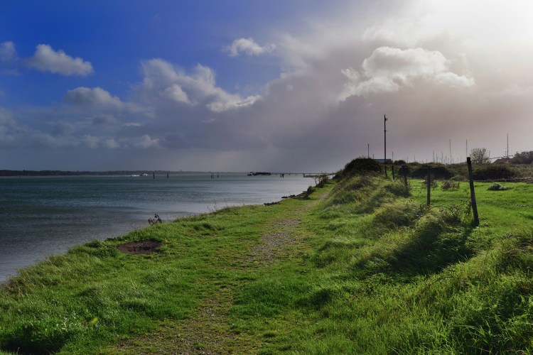 New Forest Fringes_07