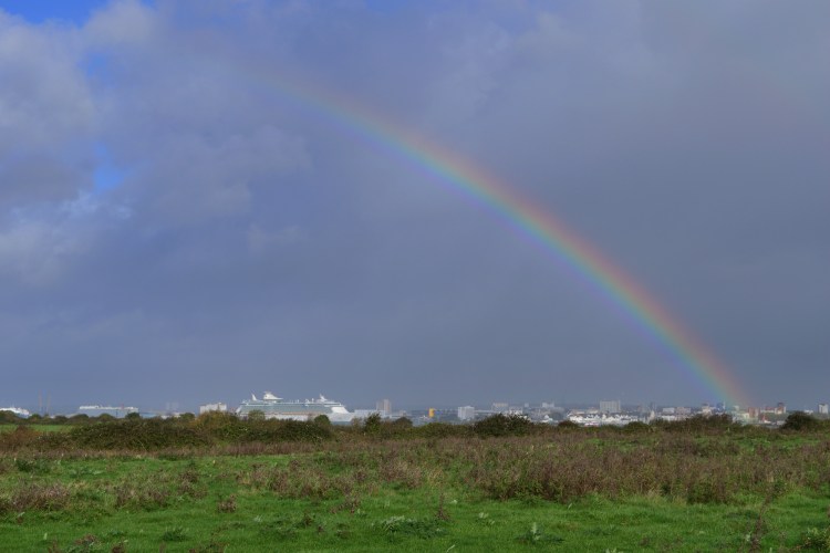 New Forest Fringes_10