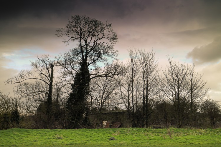 Blog Old Footbridge 4